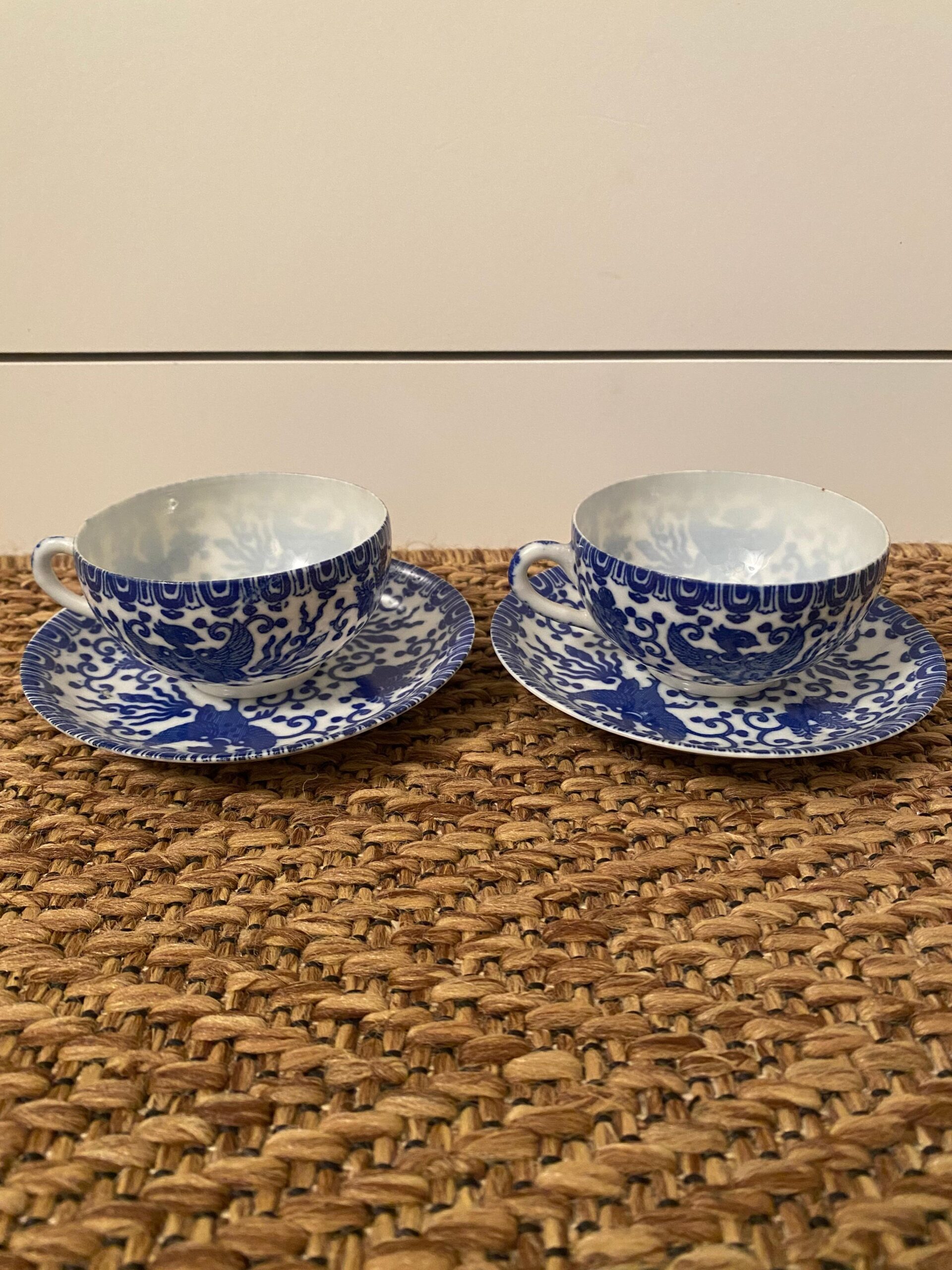 sansevieria laurentii sansevieria laurentii