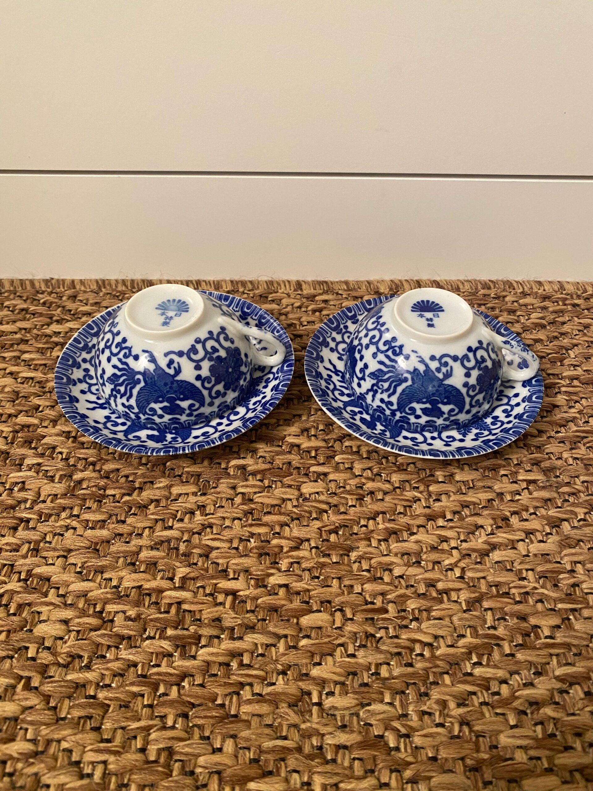 sansevieria laurentii sansevieria laurentii